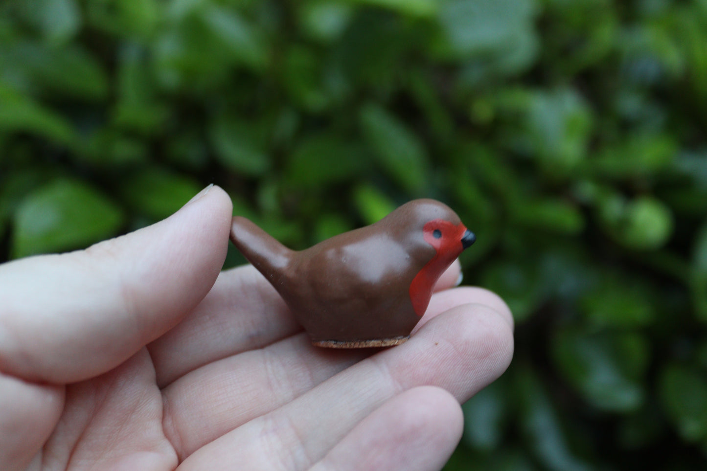 Little Robin Visitors